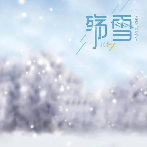殤雪(DJ版)-暴林