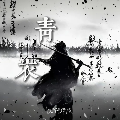 青衣 (DJ阿泽 remix) (Remix)-DJ阿泽