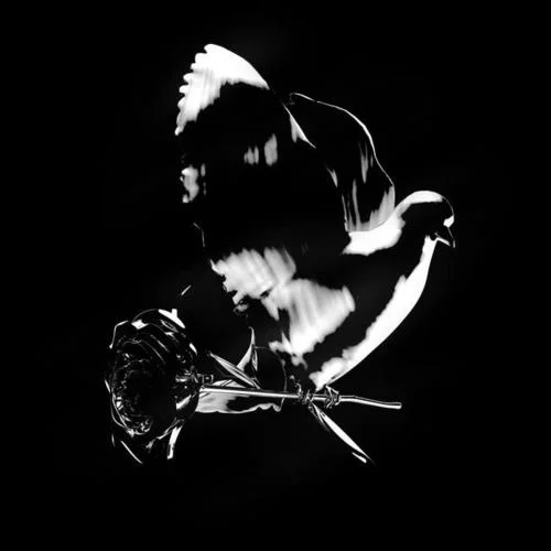 What You Know Bout Love-Pop Smoke