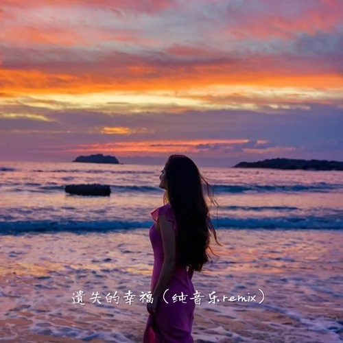 遺失的心跳 (純音樂remix)-不凌.