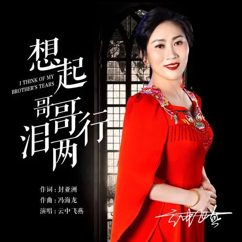 想起哥哥淚兩行(18秒DJ版片段)-云中飛燕
