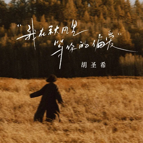 我在秋風(fēng)里等你的偏愛-胡圣希