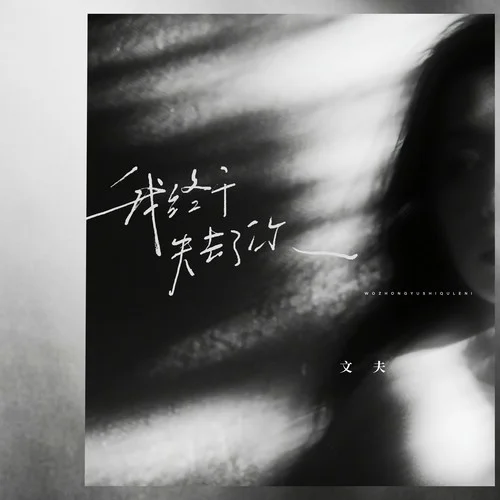 我終于失去了你（DJ版）-文夫