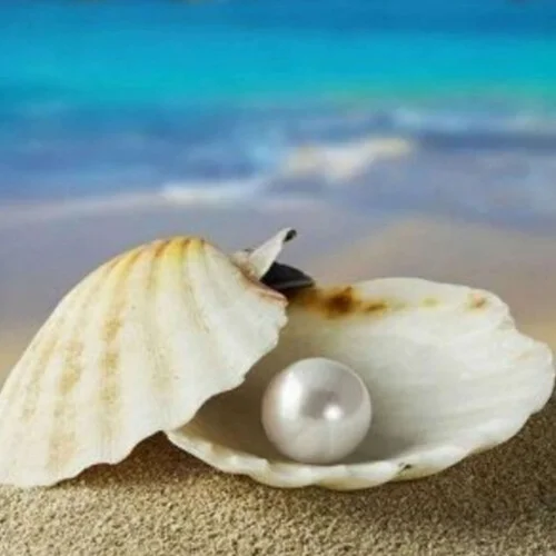 La Isla Bonita-Alizeè