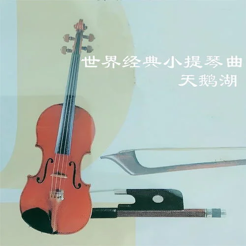 天鹅湖-新时代轻音乐团