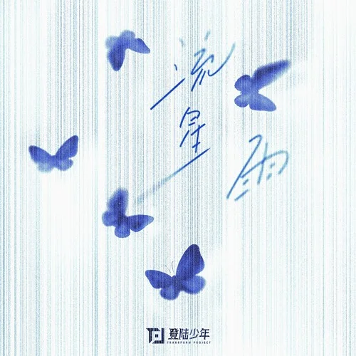 流星雨-TOP登陸少年組合