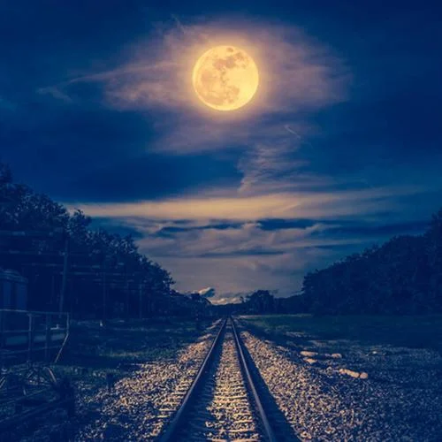 夏喚(鋼琴版)-華語群星