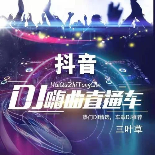 卜卦(DJ伟然版) - 崔子格-三叶草