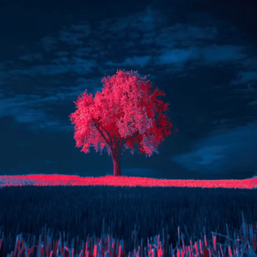 瞬 (cover: 鄭潤(rùn)澤)-錢玄來