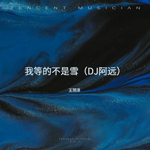 我等的不是雪(DJ加快版)-王羽澤