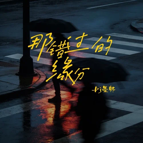 那錯(cuò)過的緣分 (DJ墨韓Mix版)-田園