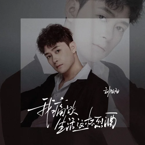 我痛飲生活這杯烈酒-劉陽陽