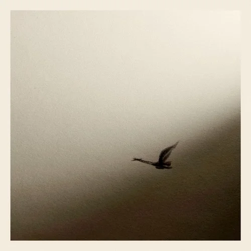 Так много слов-Rauf And Faik