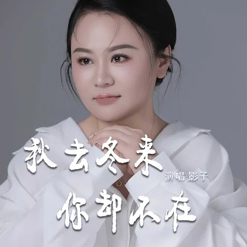 秋去冬來你卻不在 (DJ默涵版)-影子