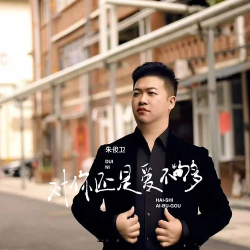 对你还是爱不够-朱俊卫