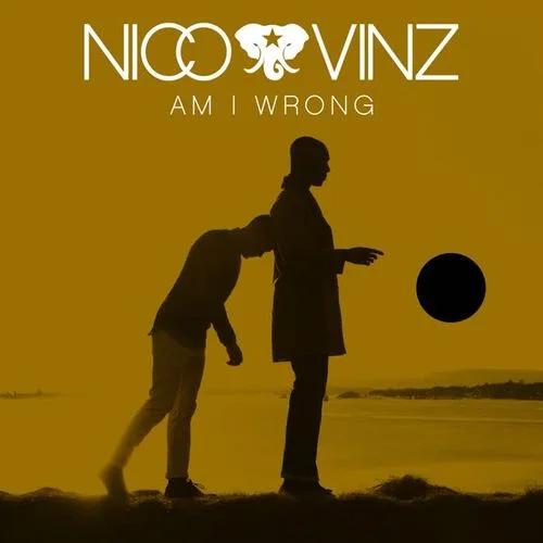 Am I Wrong-Nico And Vinz