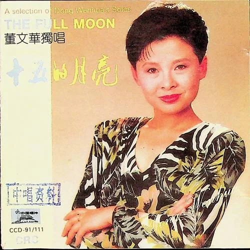 望星空-董文華&閻維文