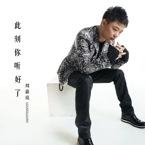 此刻你聽好了-劉嘉亮