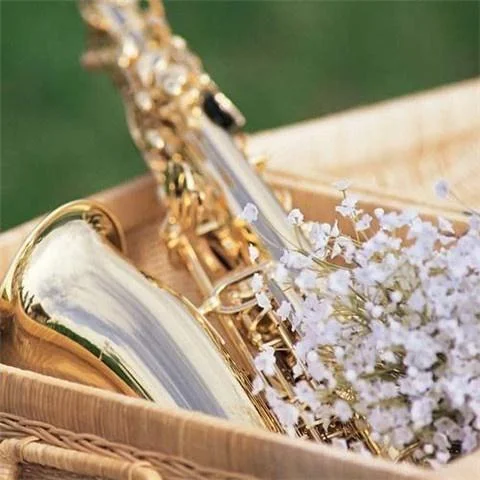 放下(Single Version)-印良法師