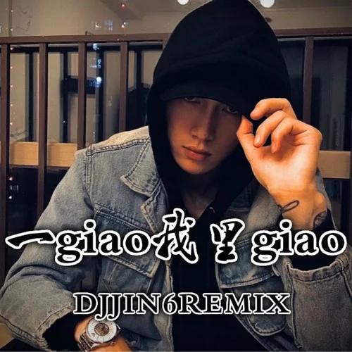 一giao我里giao(DJ版)-金6
