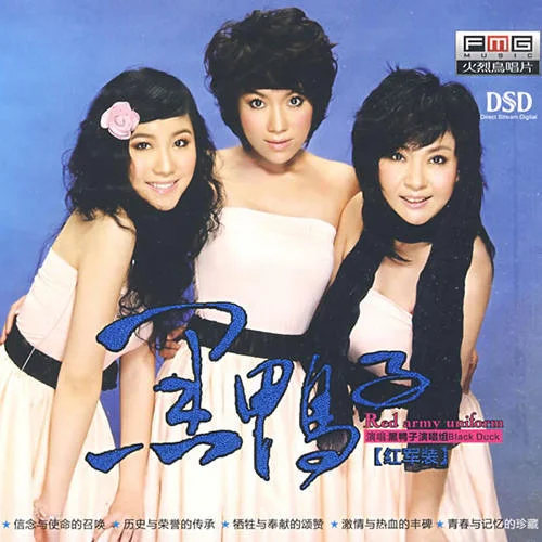 洗衣歌-黑鸭子演唱组