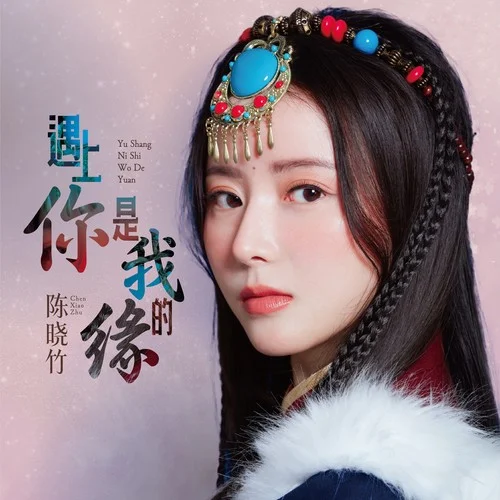 遇上你是我的緣-陳曉竹