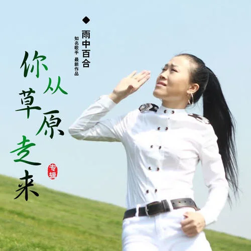 你從草原走來-雨中百合