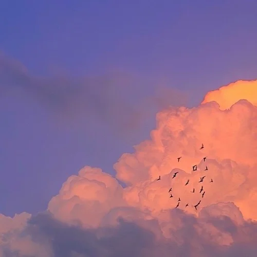 春風(fēng)吹 (cover: 阿冷)-春風(fēng)吖