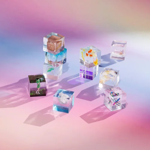 飞鸟说-ChiliChill