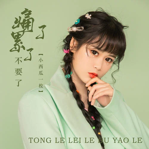 痛了累了不要了-小西瓜一枚