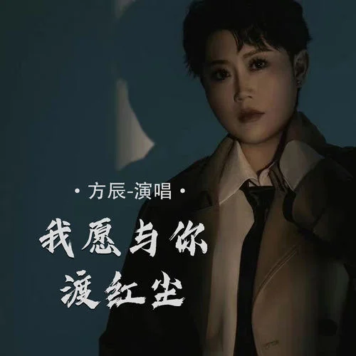 我愿與你渡紅塵 (DJ沈浪版)-方辰