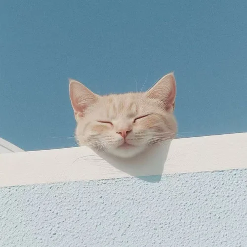 到时说爱我（大头针版）-大头针