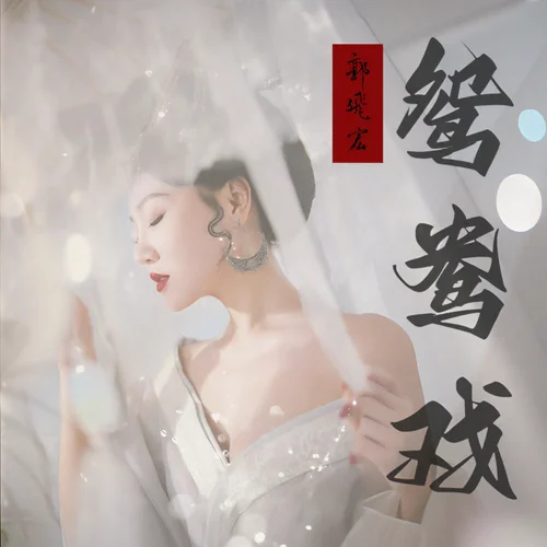 鴛鴦戲(DJ版)-郭飛宏