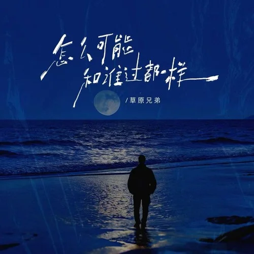 怎么可能和谁过都一样 (烟嗓版)-草原兄弟