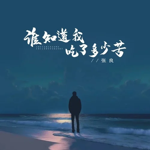 誰知道我吃了多少苦-張良