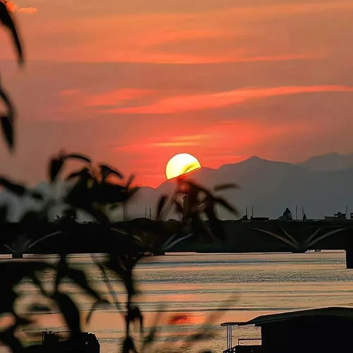 离开我的依赖 (我来不及道声不安)-大头针&东木木