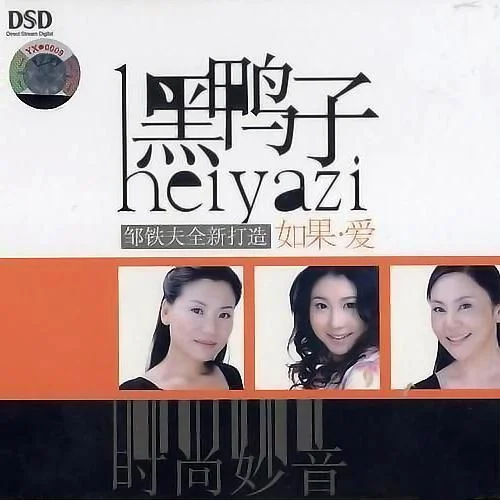 紙飛機(jī)-黑鴨子演唱組