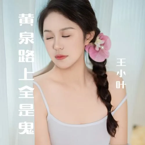 黃泉路上全是鬼-王小葉