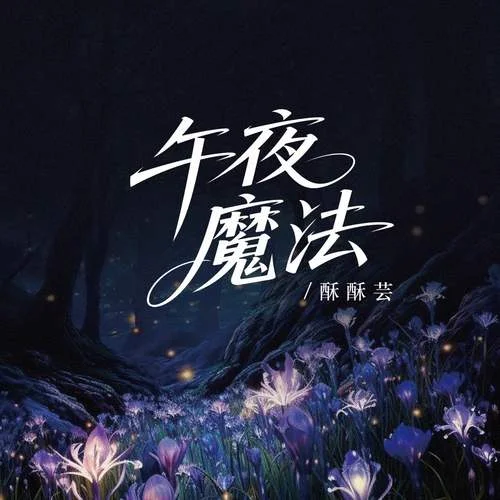 午夜魔法 (伴奏)-酥酥蕓