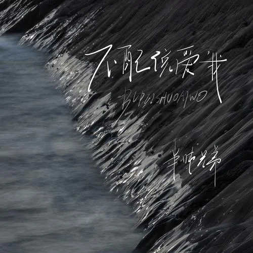 不配说爱我-半吨兄弟