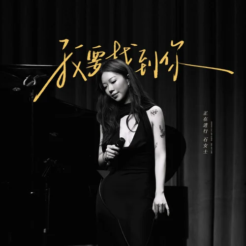 我要找到你（有些人愛到忘了形）-正在進(jìn)行石女士