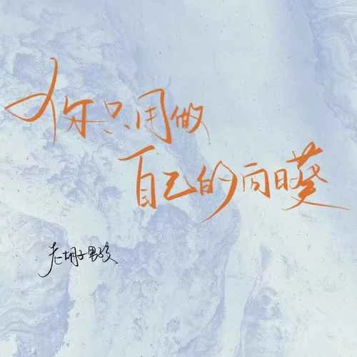 你只用做自己的向日葵-老胡子男孩