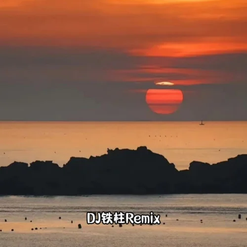 情人知己 (DJ版)-DJ鐵柱Remix