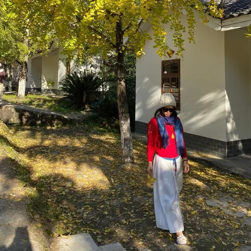 記得這個(gè)夢(mèng) (cover: 亞沈)-簡(jiǎn)Jane