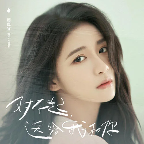 對(duì)不起 送給我和你-蔡卓宜