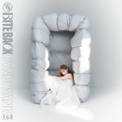 最想你的-王心凌