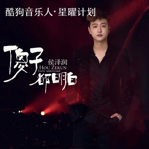 傻子都明白-侯泽润