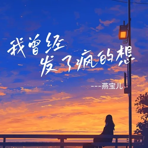 我曾经发了疯的想 (DJ默涵版)-燕宝儿