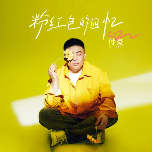 粉红色的回忆-付豪