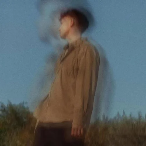 Stray Nights-Tom Frane